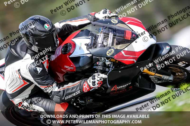 15 to 17th july 2013;Brno;event digital images;motorbikes;no limits;peter wileman photography;trackday;trackday digital images